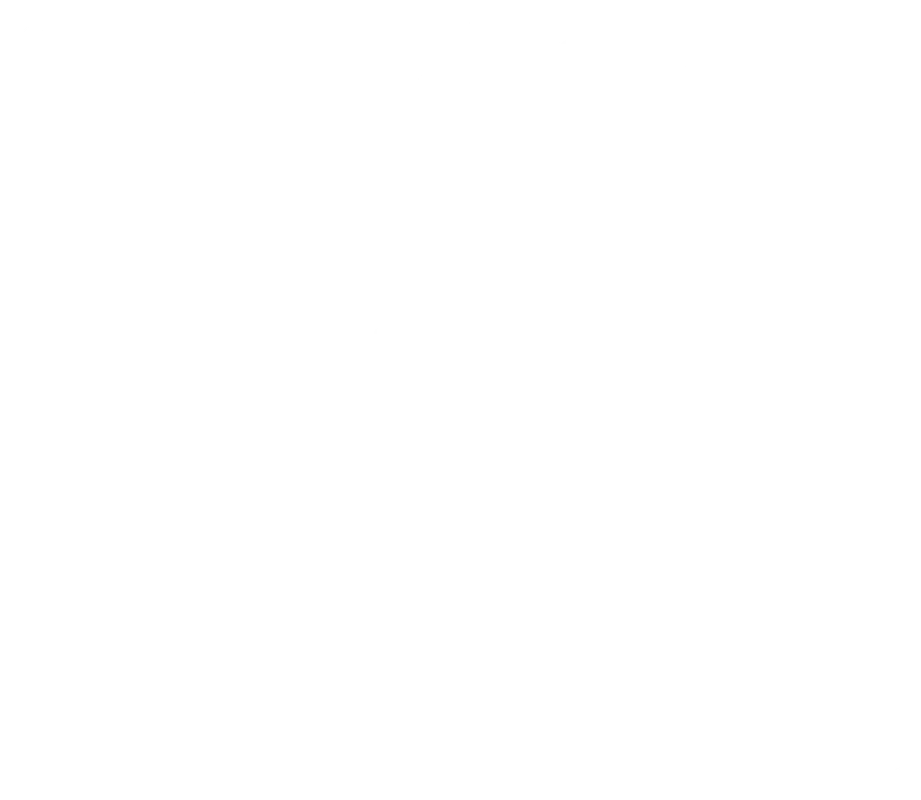 anj logo white